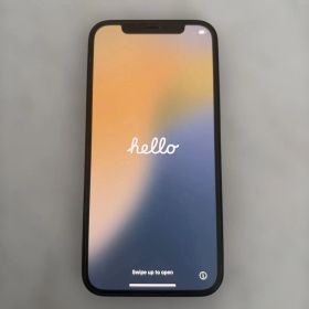 【美品】Apple iPhone 12 64GB 本体 ブラック（ケース付き）
