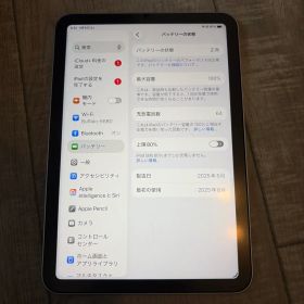 Apple iPad mini A17pro 128GB WiFi 本体