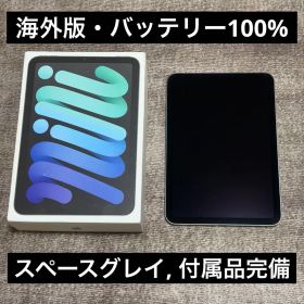 iPad mini 第7世代 128GB Wi-Fi 海外版 バッテリー100%