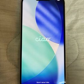 Apple iPhone 14 plus本体