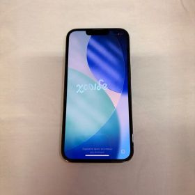 Apple iPhone 13 Pro 256GB SIM フリー