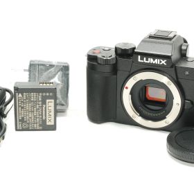 【極上美品】Panasonic LUMIX DC-G100D ボディ パナソニック r502
