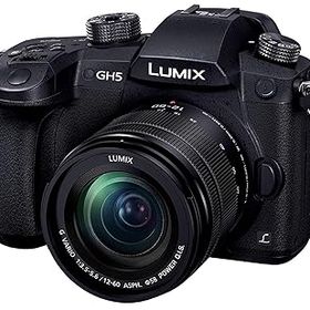【中古】パナソニック(Panasonic) ミラーレス一眼カメラ ルミックス GH5 レンズキット 標準ズームレンズ付属 ブラック DC-GH5M-K