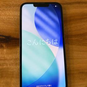 Apple iPhone 16e 本体
