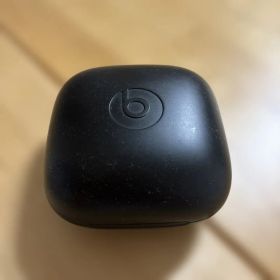 Beats Powerbeats Pro 本体 右片側