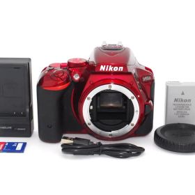 SDカード付き♪Nikon D5500 ボディ♪
