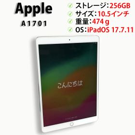 【OSバージョン：17.7.11】中古タブレット Apple iPad Pro 10.5インチ A1701 MPF02J/A 256GB Wi-Fiモデル 動作確認済み【送料無料】【30日保証】
