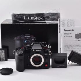 16166 メ保有展示美品 LUMIX GH6 DC-GH6 Panasonic