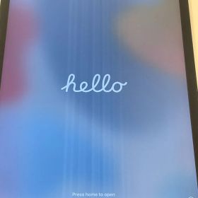 【塩】Apple アップル iPad mini 4（第4世代） Wi-Fiモデル 液晶不具合あり（縦線が入る） 初期化済み バッテリー最大値不明 現状品【23537CK】G09