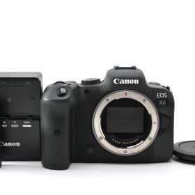 ★極上美品★Canon キヤノン EOS R6 ボディ ＜ショット数7025回＞★A255H #137