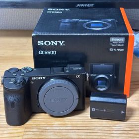 Sony α6600 本体