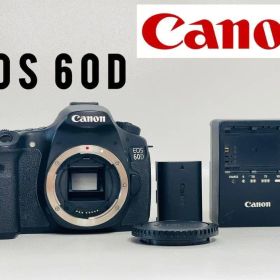 【美品/動作◎】Canon EOS 60D ボディ 一眼レフ キヤノン カメラ