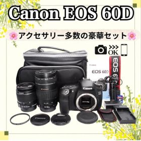 ショット数5460回‼️Canon EOS 60D❤️ダブルレンズ❤️デジタル一眼レフ