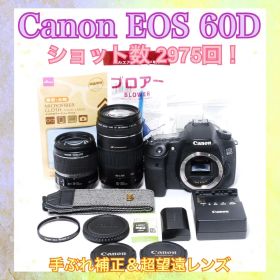 ❣️ショット数少❣️Canon EOS 60D❣️一眼レフカメラ❣️ハイアマチュア機種❣️