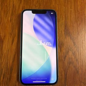 Apple iPhone13mini 256GB ブルー 充電ケーブル付き
