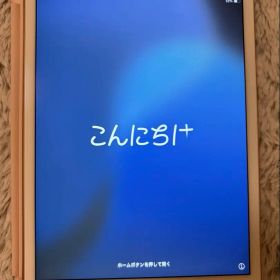 iPad mini 5 第5世代 Wi-Fi 64GB ゴールド 純正カバー付
