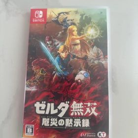 ゼルダ無双 厄災の黙示録 Nintendo Switch
