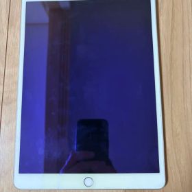 Apple iPad Pro 第１世代 Wi-Fiモデル