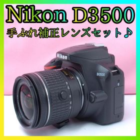 ❤Nikon D3500❤ショット数少ない❤Bluetoothでスマホ転送❤美品