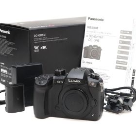 AA (新品同様) Panasonic パナソニック LUMIX G DC-GH5 ボディ ブラック シャッター数 125枚 初期不良返品対応 88-36