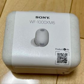 SONY WF-1000XM6 ワイヤレスイヤホン プラチナシルバー 本体