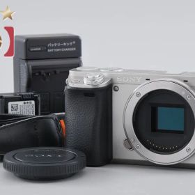 【中古】SONY ソニー α6000 ILCE-6000 シルバー ミラーレス一眼カメラ シャッター回数僅少 多言語対応