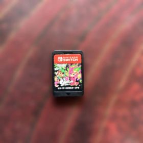 Switch スプラトゥーン2 ソフトのみ