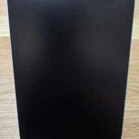 iPad mini A17 海外版 AppleCare Cellular Pen