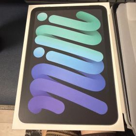 Apple iPad mini 本体 第7世代