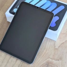 【極美品】Apple iPad mini 本体（A17 Wi-Fi 256GB）