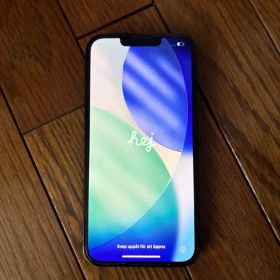 iPhone 13pro / 256GB（データ消去済）
