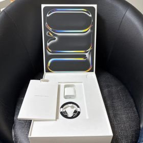 セール交換品未使用Apple 13インチ iPad Pro (M4) 256GB