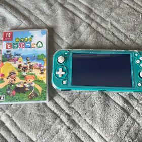 【美品】Nintendo Switch Lite＋あつまれどうぶつの森