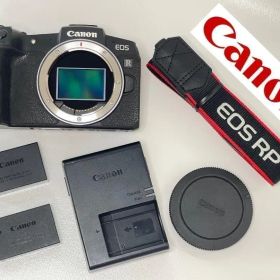 極美品 Canon EOS RP ボディ 動作良好 バッテリー2個＆充電器付