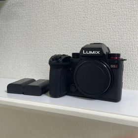 Panasonic LUMIX S5II 本体 バッテリー2個