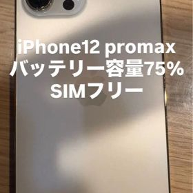Apple iPhone 12 Pro Max 本体 SIMフリー