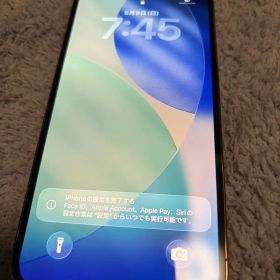Apple iPhone12ProMax 256GB GOLD