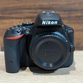 Nikon D5500(シャッター数3,000) + AF-Pダブルズームレンズ