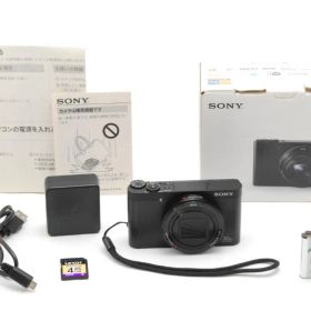 【美品 箱付き】 ソニー SONY DSC-WX500 ブラック