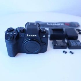 Panasonic LUMIX DC-G99D ボディ