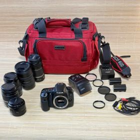 完動品 Canon EOS 60D 豪華フルセット 付属品多