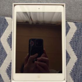 Apple iPad mini本体 初代