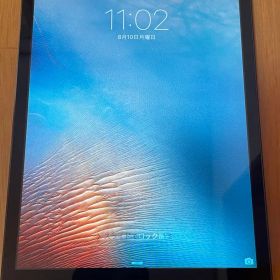 Apple iPad mini 本体 ブラック