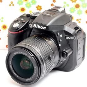 ニコン Nikon D5300 ☆初心者歓迎☆軽量バリアングル☆即日発送