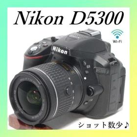 ✨Nikon D5300✨ショット数極小✨カメラデビューに✨Wi-Fi✨一眼レフ