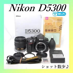 ✨Nikon D5300✨ショット数552✨軽量✨初心者さんおすすめ✨一眼レフ✨
