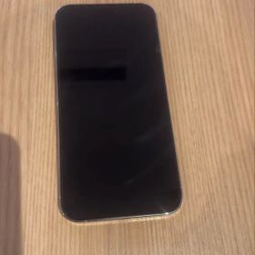 iPhone 14 Pro シルバー 1TAppleCare加入済み 令和14