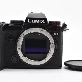 超極上★Panasonic LUMIX DC-S5 ボディ #1040