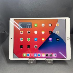 美品 国内版 SIMフリー Cellular版 iPad Pro 10.5インチ