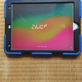Apple iPad Pro 10.5 本体（箱あり）